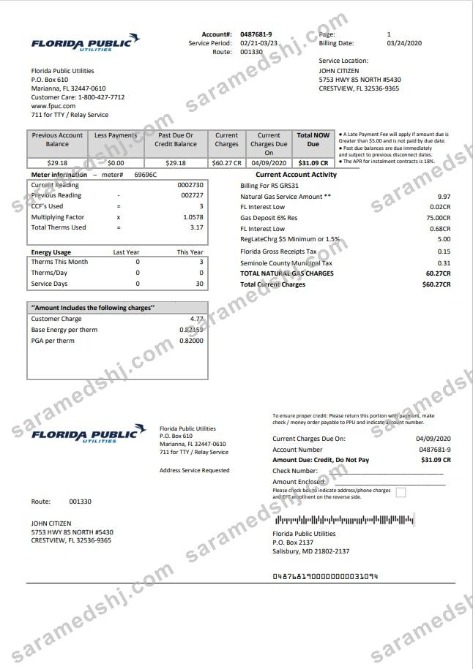 USA Florida Public Utilities utility bill template in Word and PDF format